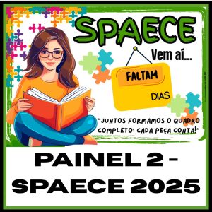 Painel 2 - SPAECE 2025